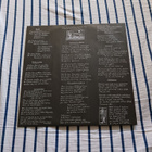 J. Karjalainen Yhtyeineen – Päiväkirja lp 1991 huippukunto - pikkukuva 4