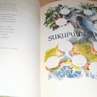 Elämän aamun auetessa - pikkukuva 2