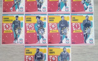 Liverpool FC 10 korttia
