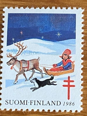 JOULUMERKKI PORO JA TONTTU**