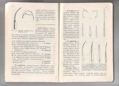Paasio,Ilmari: Suomiehen sammalkirja, Keskusmets.Tapio 1935