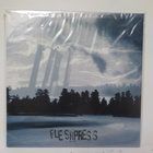 FLESH PRESS - PILLARS EX+/M- 2LP fin 2007 - pikkukuva 2