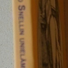 Nathanael West - Balso Snellin Unielämä - pikkukuva 2