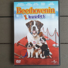 DVD: Beethovenin Kuudes (Jonathan Silverman, Rhea Perlman) - pikkukuva 1