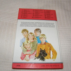 Enid Blyton Metsästysmajan salaisuus 10 - pikkukuva 2