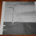 KRA - Still Going Sproing - LP - 1990 Etno rock pop KOELEVY - pikkukuva 5