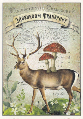 Sienikuljetus (Tausendschön-kortti)
