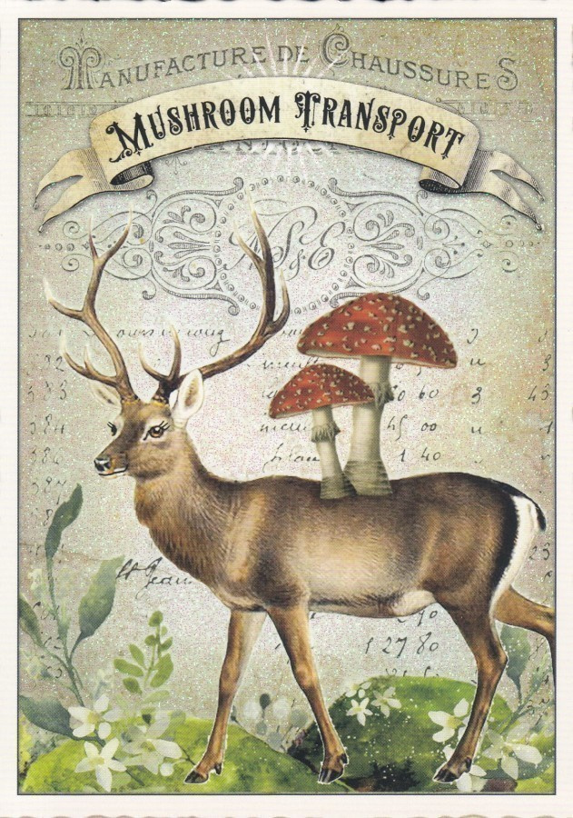 Sienikuljetus (Tausendschön-kortti)