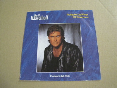 David Hasselhoff Flying on the wings of tenderness 7 45 saks
