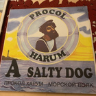 PROCOL HARUM: A Salty Dog. * 1993 USSR - pikkukuva 1