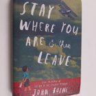 John Boyne : Stay where you are & then leave - Stay where... - pikkukuva 1