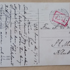Pikkuleidit, pöydällä kana, tipuja, kukkia, p. 1915 + sens. - pikkukuva 2