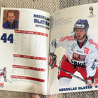 TEAM CZECH MEDIA GUIDE 2010 / JÄÄKIEKON MM 2010 - pikkukuva 5