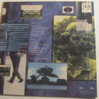 The Lilac Time: Paradise Circus LP 1989 - pikkukuva 2