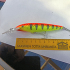 Rapala Barra Magnum - pikkukuva 2