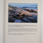 Arno (toim.) Rautavaara : Suomen kansallispuistot - pikkukuva 2