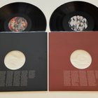 Grizzly Bear – Veckatimest (HUIPPULAATU 2xLP) - pikkukuva 2