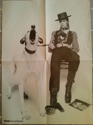 DAVID BOWIE ja koira + sita salminen