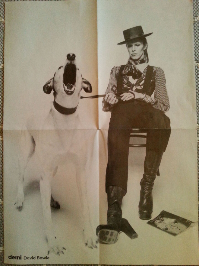 DAVID BOWIE ja koira + sita salminen