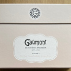 Gaumont - le cinéma premier volume 1 - DVD boksi - pikkukuva 1
