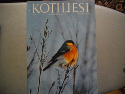 Kotiliesi Nro 3/1966 (15.3)