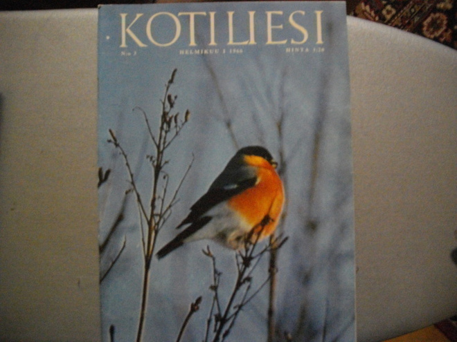 Kotiliesi Nro 3/1966 (15.3)