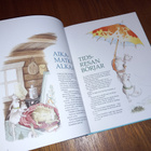 Museohiirten aikamatka = Museimössens tidsresa - pikkukuva 5