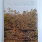 Studies on Surgut Ostyak culture - pikkukuva 2