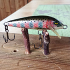 Rapala Floating Ireland 5cm - pikkukuva 1