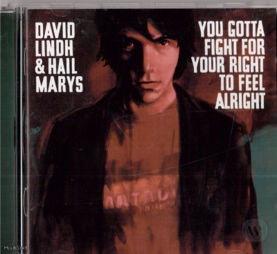 DAVID LINDH &HAIL MARYS YOU GOTTA FIGHT FOR YOUR RIGHT TO FE