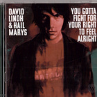 DAVID LINDH &HAIL MARYS YOU GOTTA FIGHT FOR YOUR RIGHT TO FE - pikkukuva 1