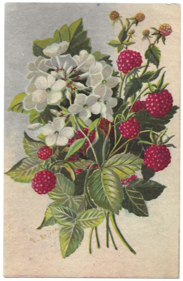 Elena Kojine Kukkakortti (1937) KT 132/10