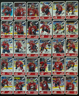 14-15 HIFK Team Issue nimikirjoituksella (30 erilaista)