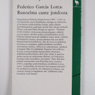 Federico Garcia Lorca : Runoelma cante jondosta - pikkukuva 2