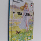 Jason Hazeley : Ladybird book of mindfulness - pikkukuva 1