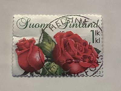 2209/ 2013 Ruusut o leimattu loisto