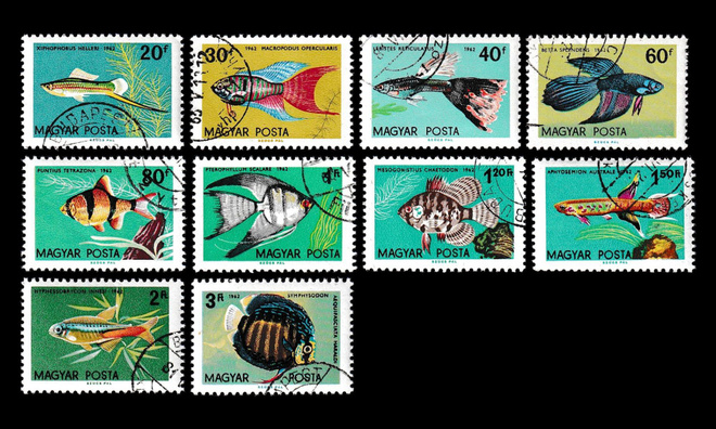 Unkari 1820-9 o Akvaariokaloja (1962)