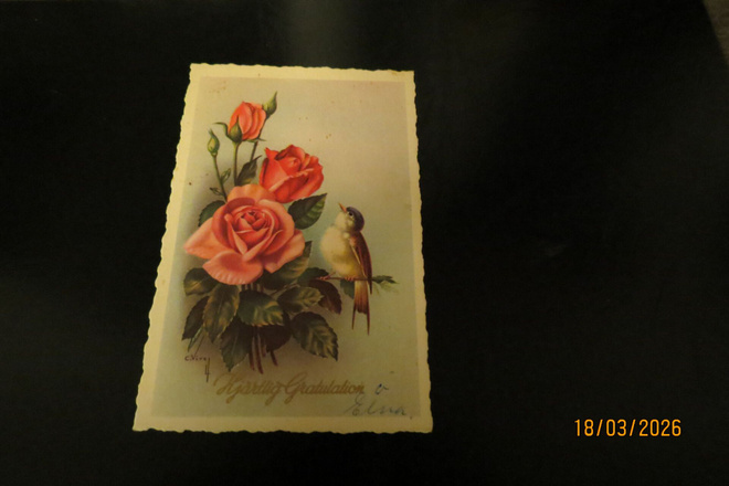 C. VIVEQ 1961 KULKENUT KORTTI