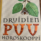 DRUIDIEN PUUHOROSKOOPPI - pikkukuva 1