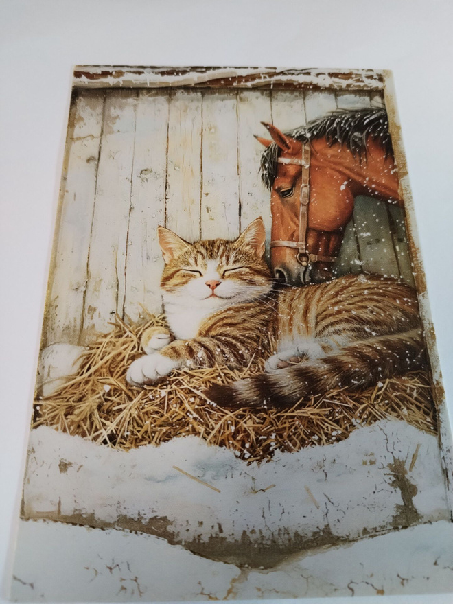 Kissa kortti,kulkematon,vaikka kehyksiin tauluksi.