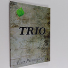 Eva Pietarinen : Trio (signeerattu, tekijän omiste) - pikkukuva 1