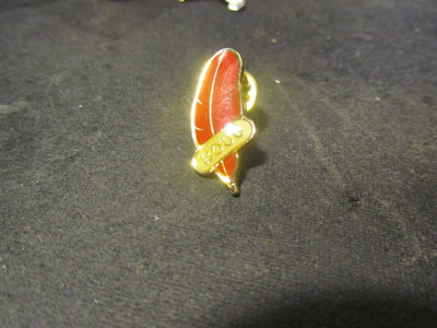 pinssi