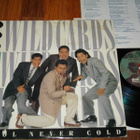 WILD CARDS - Cool Never Cold LP 1986 blues rock and roll EX- - pikkukuva 1