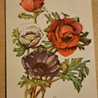 kukkakortti, anemone,  kulkenut 1940 - pikkukuva 1