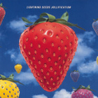 Lightning Seeds • Jollification CD - pikkukuva 1