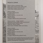 Sotasavottaa ja veteraanitoimintaa - pikkukuva 2