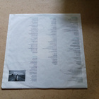 Tanita Tikaram – Ancient Heart lp 1988 Pop, Soft Rock - pikkukuva 4