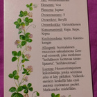 Nimikortti / Nimipäiväkortti Kerttu - pikkukuva 2