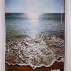 Jacqueline Seymour : Wonders of Nature - pikkukuva 2