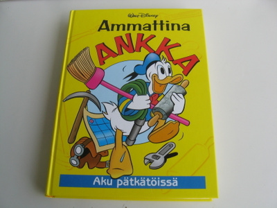 AMMATTINA ANKKA V. 2000